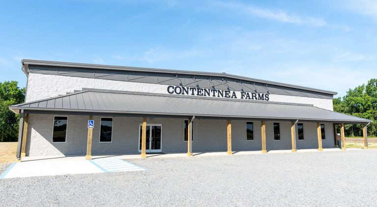 Contact Contentnea Farms